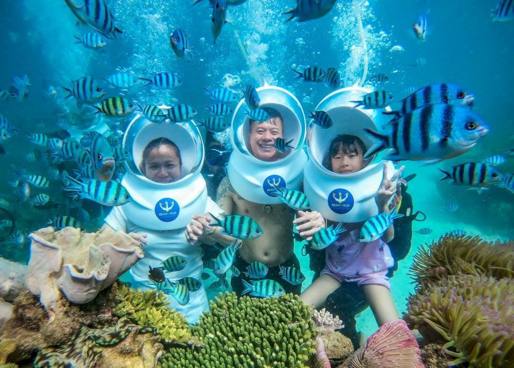 Walking beneath the waves and exploring Phu Quoc&rsquo;s seabed without needing to swim (Source: Phu Quoc Go)